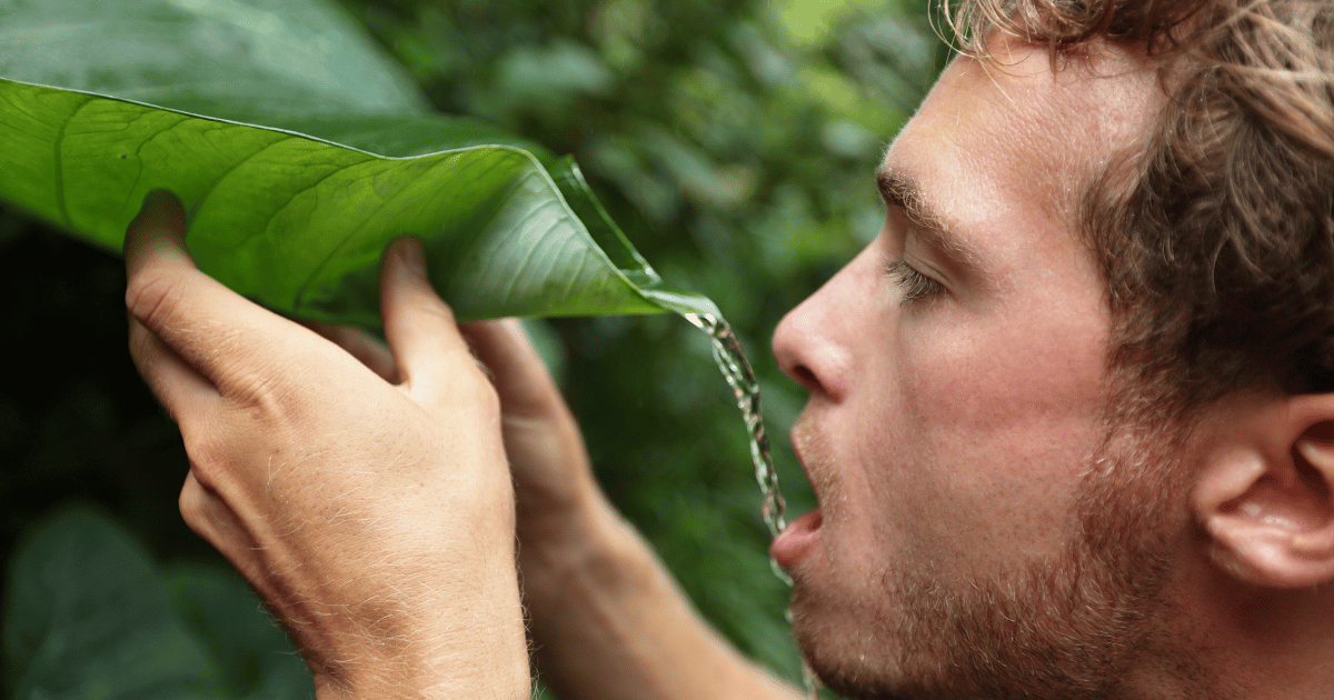 Muškarci veruju da mogu sve – ali brojke otkrivaju istinu koju mnogi ignorišu